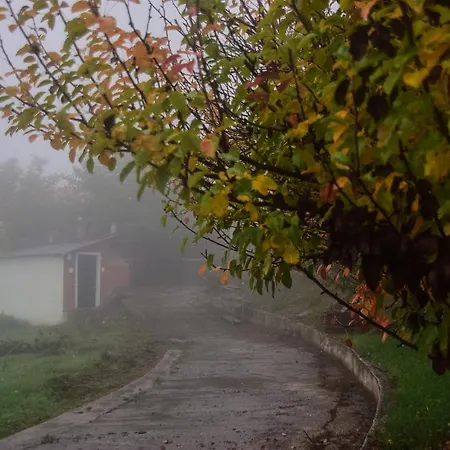 Willa Litheon House Synikia Mesi Trikalon Zewnętrze zdjęcie