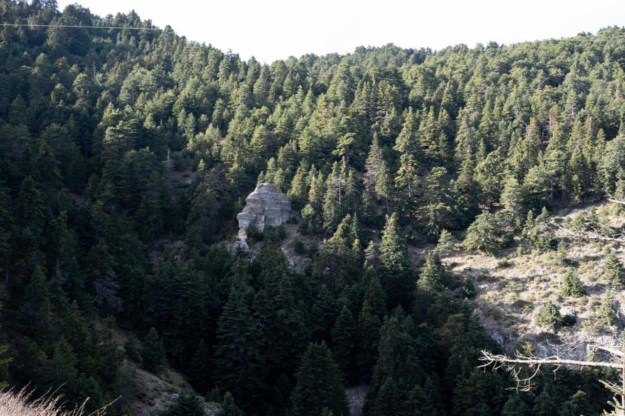Litheon House Ferienhaus Synikia Mesi Trikalon